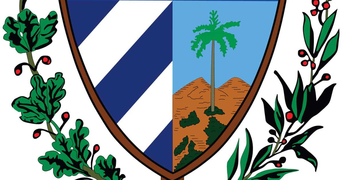 royal palm coat
